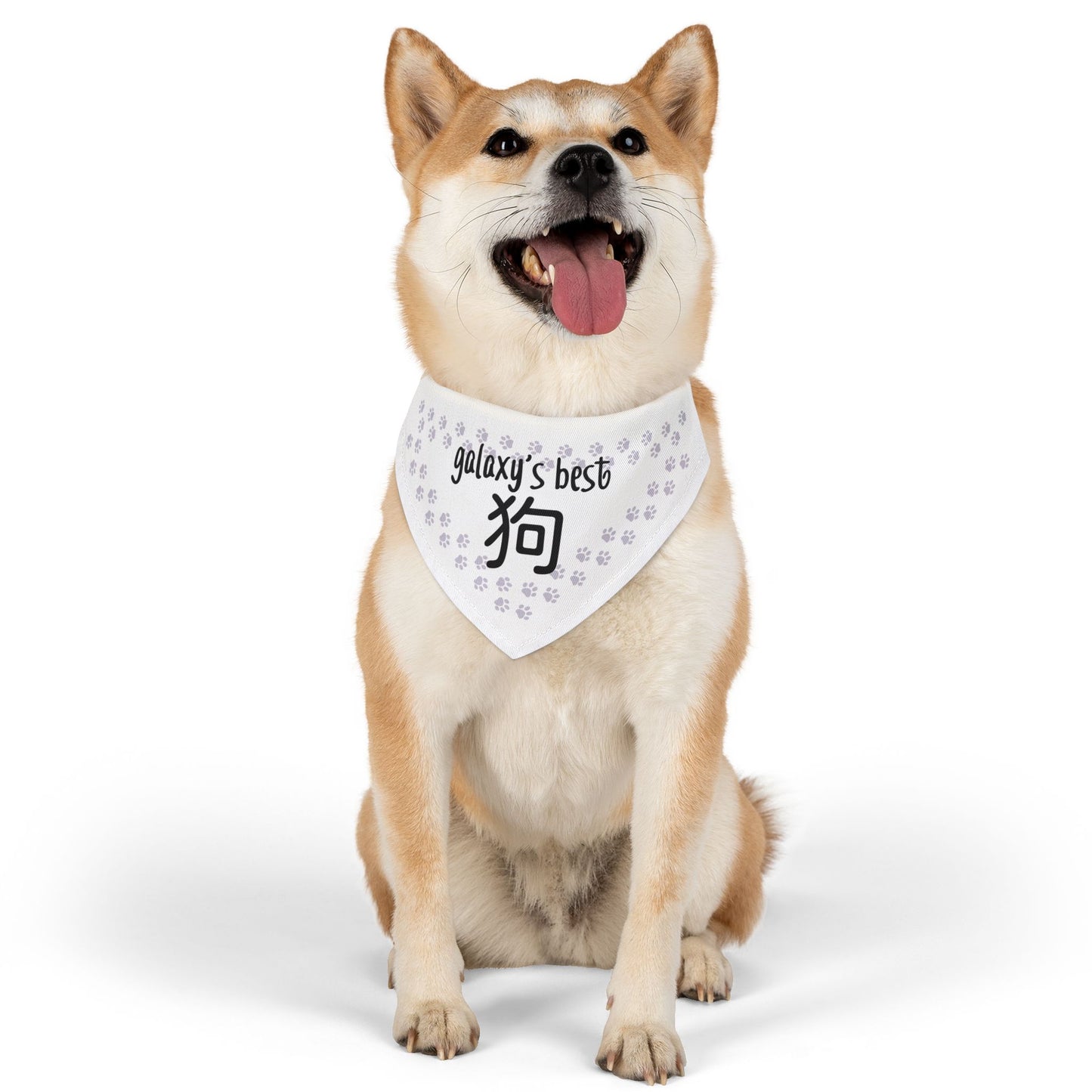 Galaxy's Best Dog | Chinese | Pet Bandana Collar