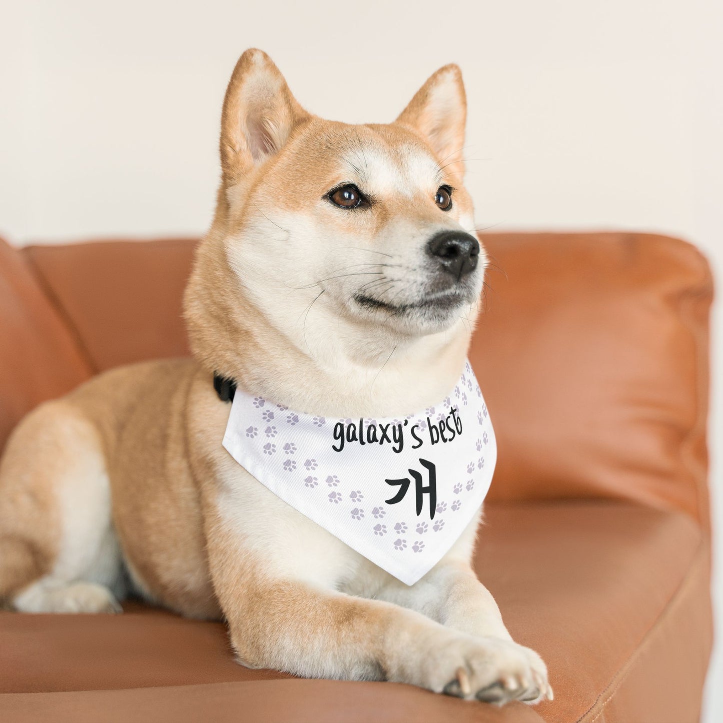 Galaxy's Best Dog | Korean | Pet Bandana Collar